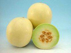 मधुमती खरबूज